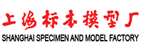 上海標(biāo)本