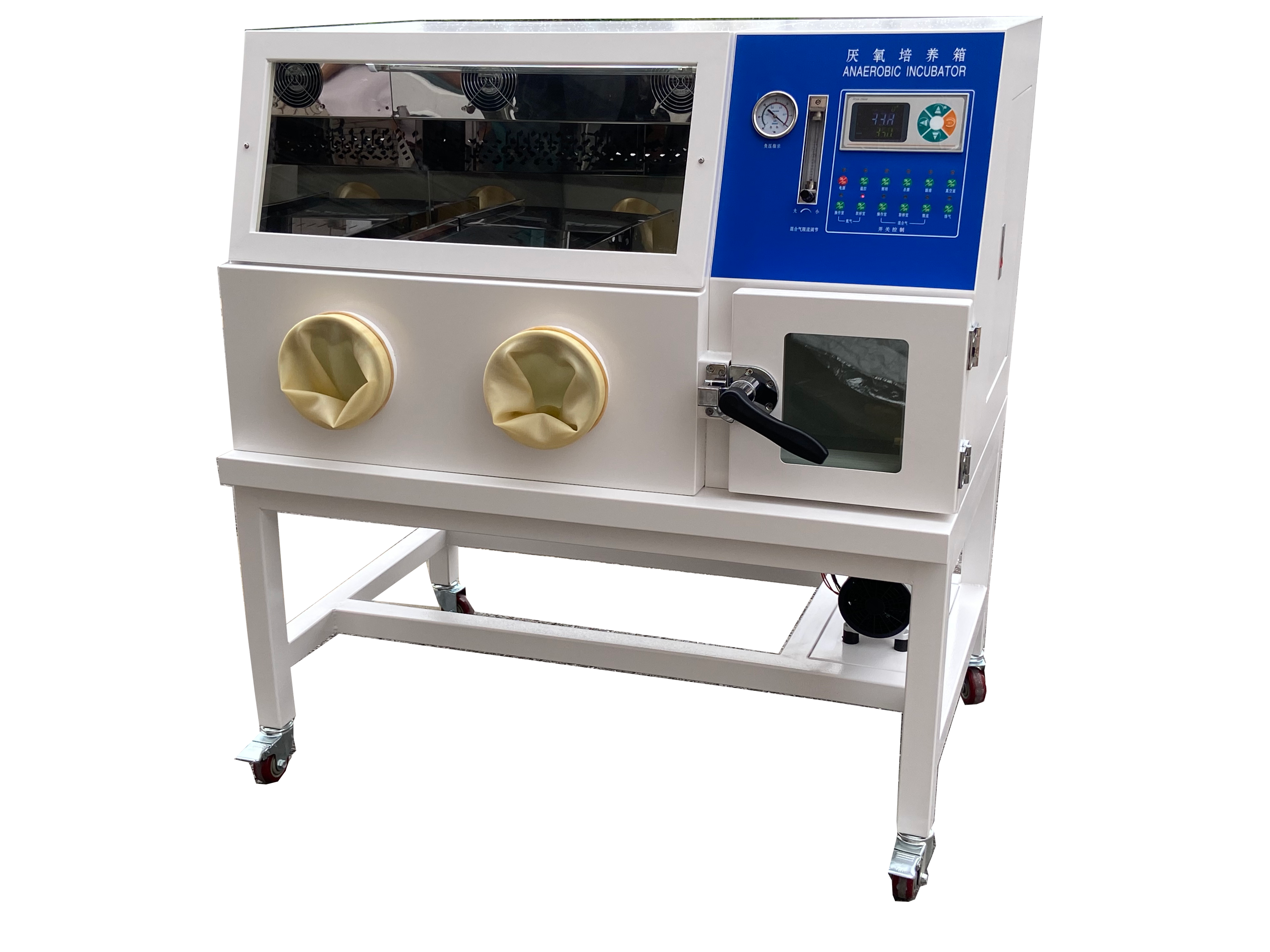 上海精其厭氧培養(yǎng)箱YQX-II
